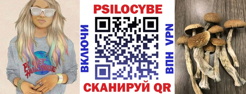 где продают   Высоцк  Псилоцибиновые грибы Magic Shrooms 