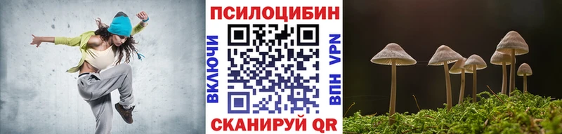 Псилоцибиновые грибы мицелий Высоцк